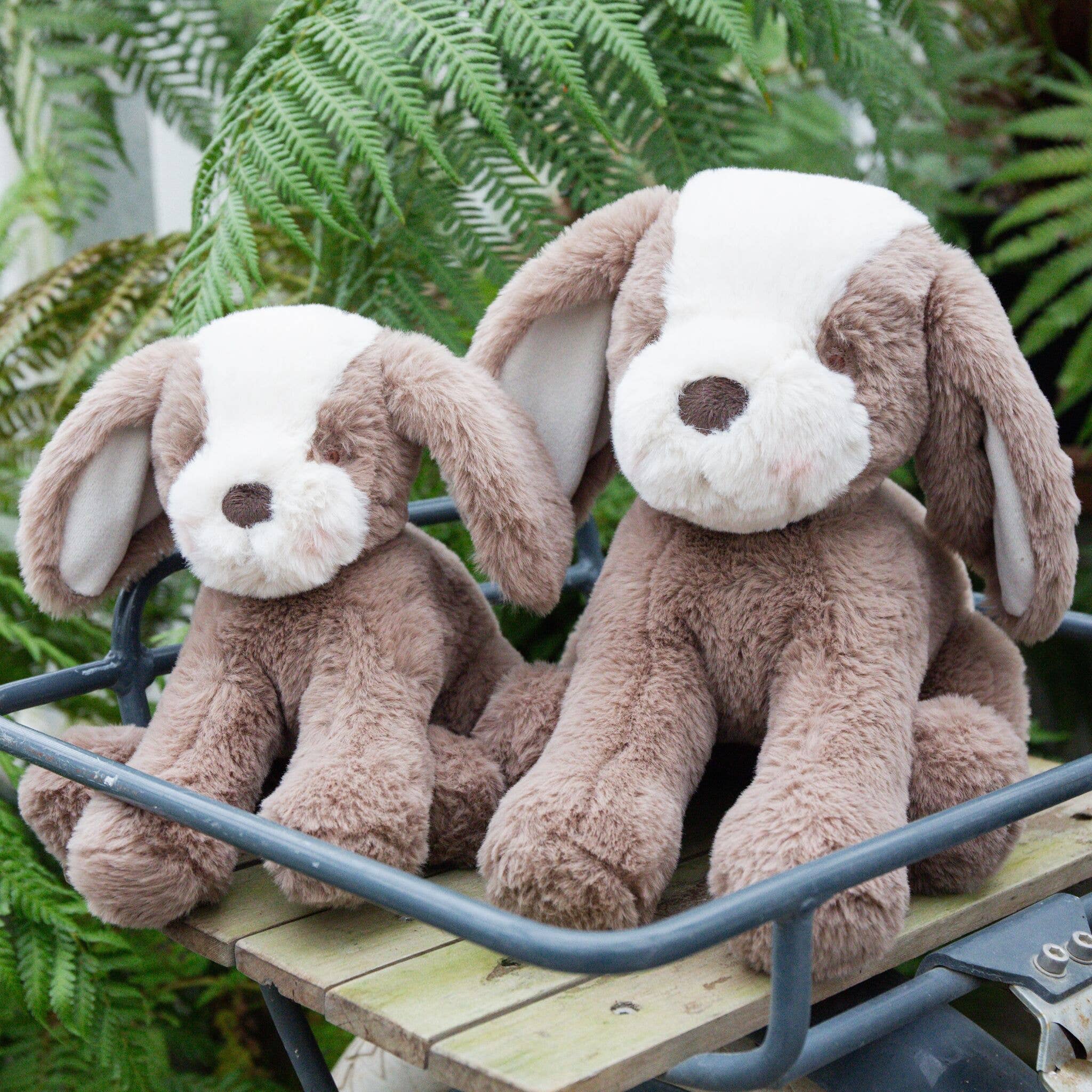 Bunnies By the Bay - Wholesale Stuffed/Plush Toy - Kids & Baby - Sweet Floppy Mutt - Toffee4