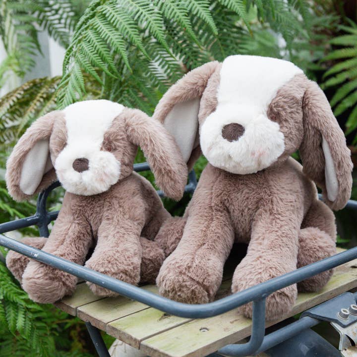 Bunnies By the Bay - Wholesale Stuffed/Plush Toy - Kids & Baby - Sweet Floppy Mutt - Toffee4