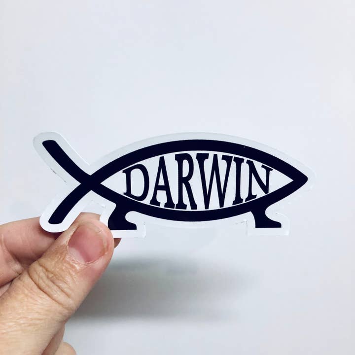 Anthem Sticker Company - Wholesale Sticker - darwin fish sticker