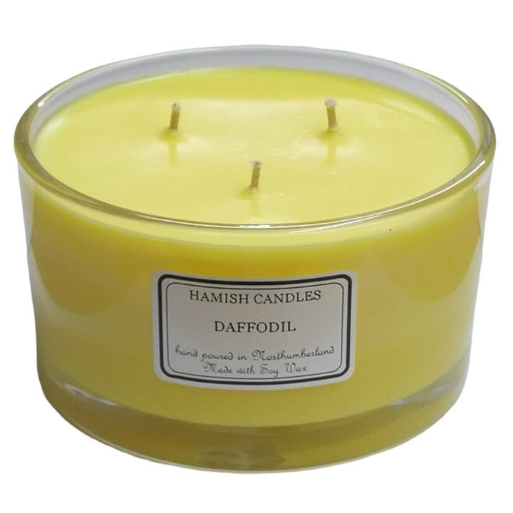 Daffodil - 50cl Candle for wholesale by Hamish Candles