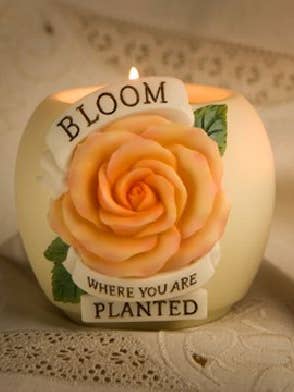 Bloom Where Planted Votive for wholesale by Ibis and Orchid Design