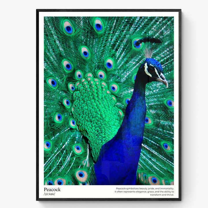 Poster Peacock pour la vente par T:mi Söderholm Jonna