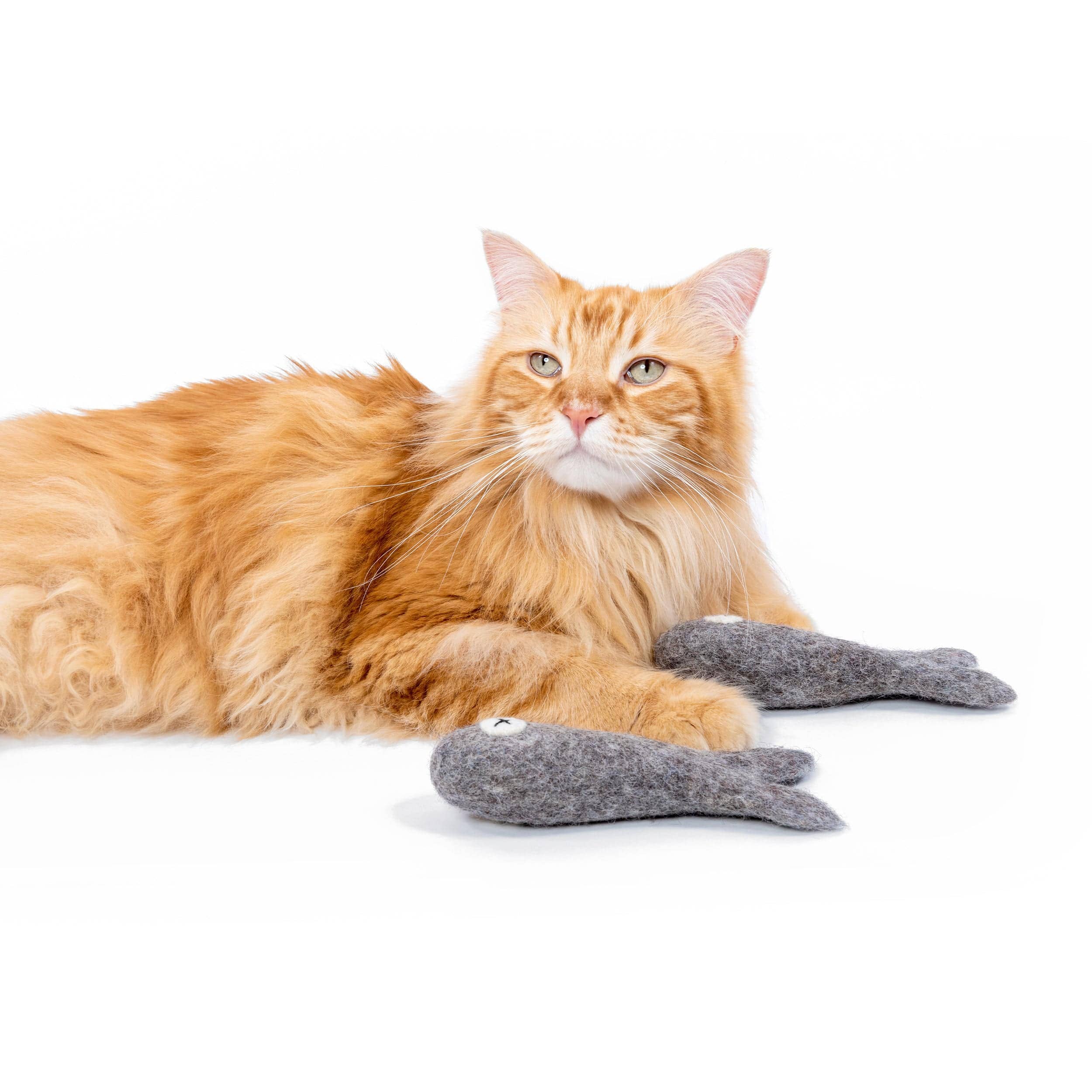 Mimi’s Daughters - Wholesale Pet Toy - Cat - Felix the Fish 15cm - Felt Cat Toy3