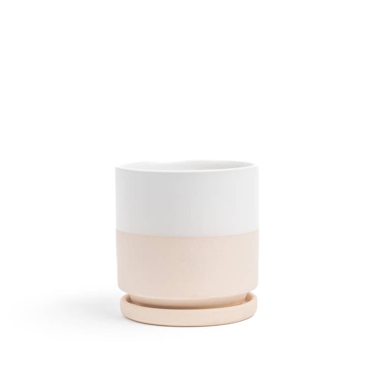 Momma Pots - Wholesale Plant Pot - 10.5" Gemstone Cylinder Pots with Water Saucers23