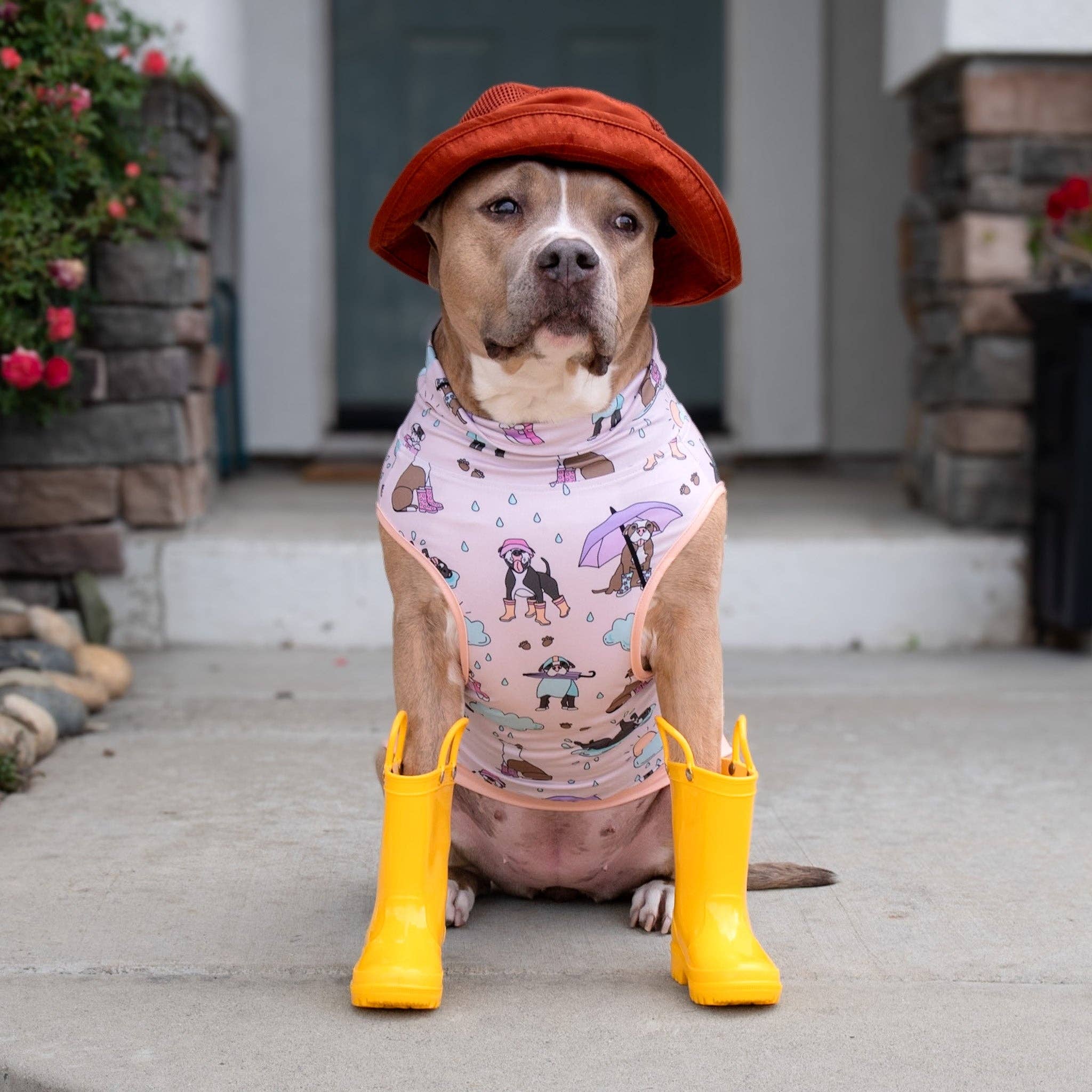 Pittie Clothing Co. - Wholesale Pet Shirt - Dog - 'It's Raining Pitties' Muscle Tee-Peach0