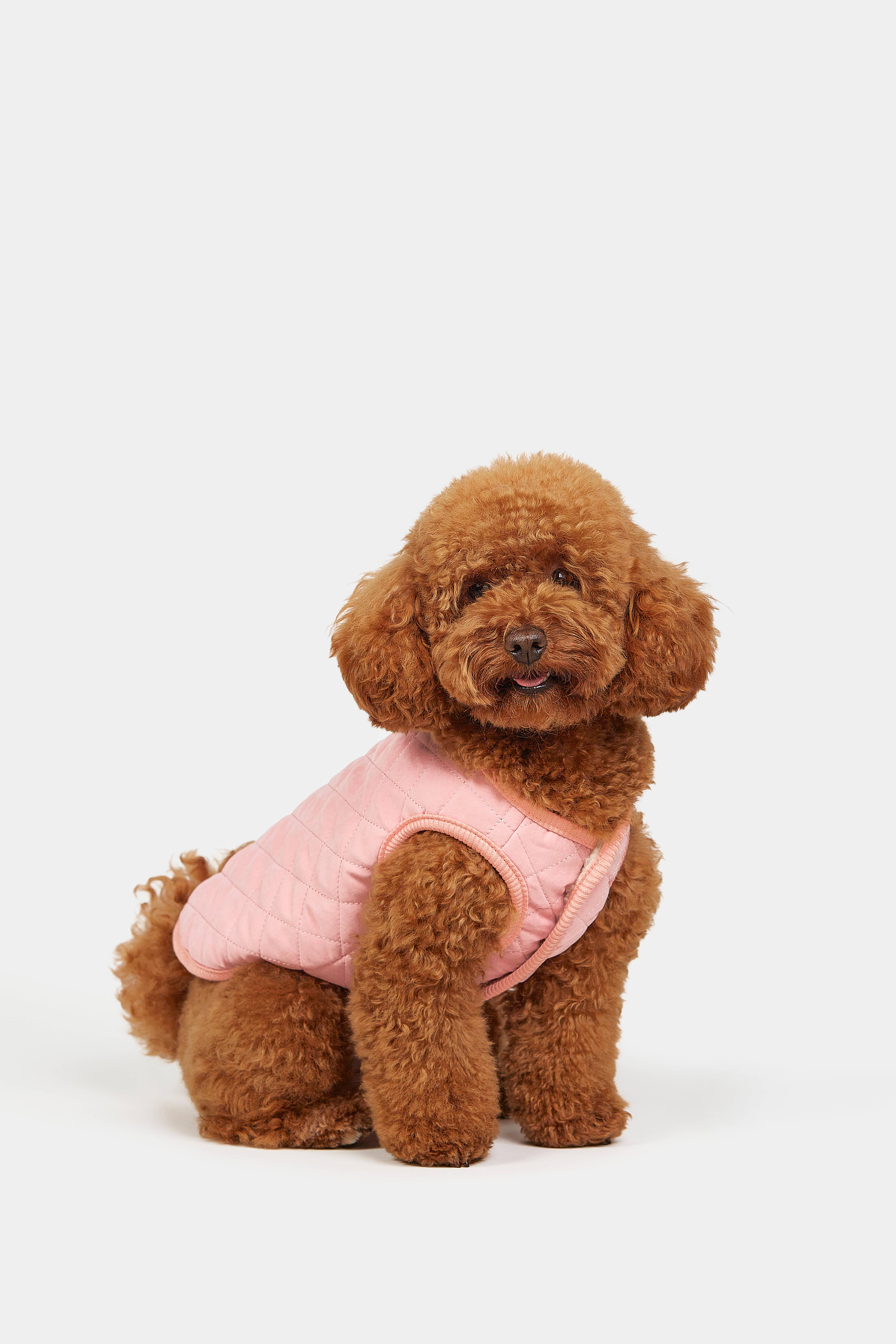 ARISTOPET - Wholesale Pet Coat - Dog - FOXY PINK VEST10