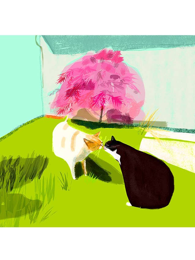 Le baiser - Kitty Fine Art Imprimer pour la vente par The Dancing Cat