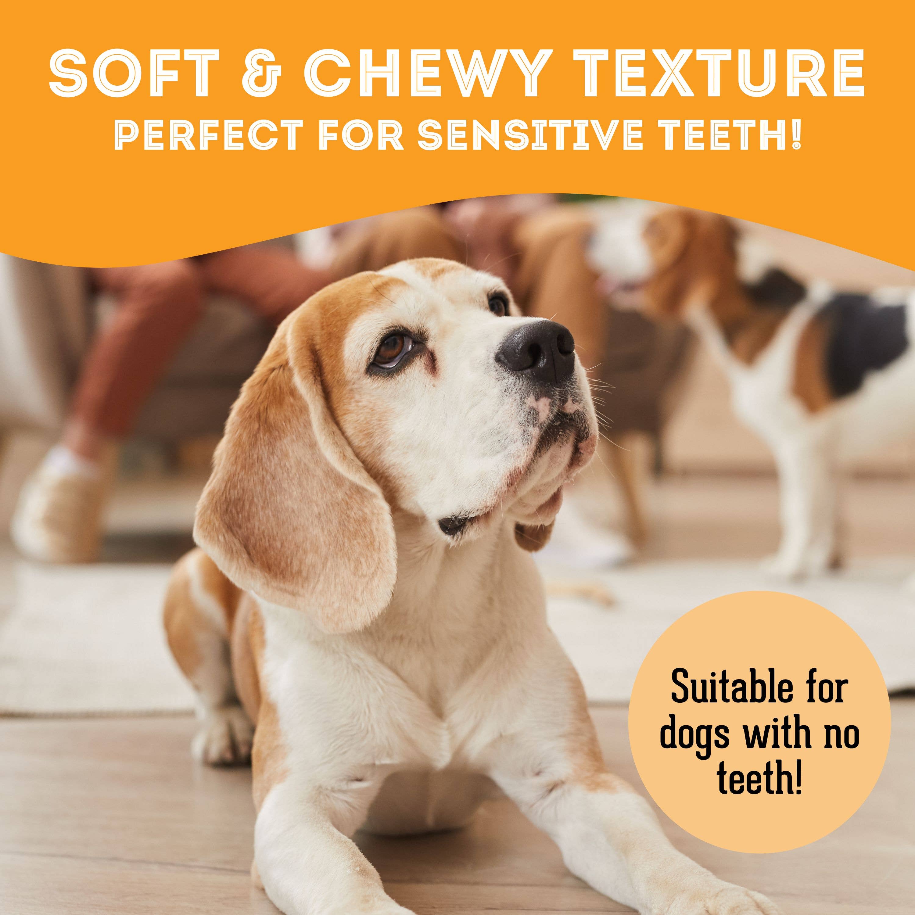 The Granville Island Pet Treatery (USA) - Wholesale Pet Treats - Dog - Pork & Cheese Soft Dog Treats: For Puppies and Seniors1