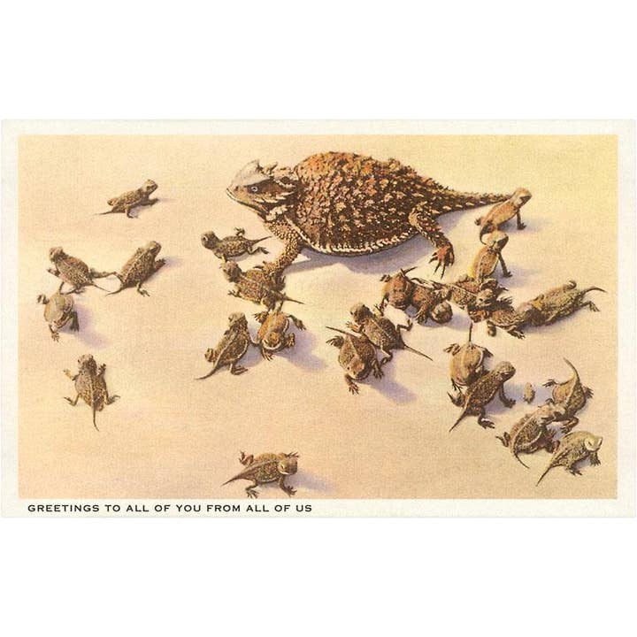 Aufkleber SW-38 Krötenfamilie für den Großhandel von Found Image Press