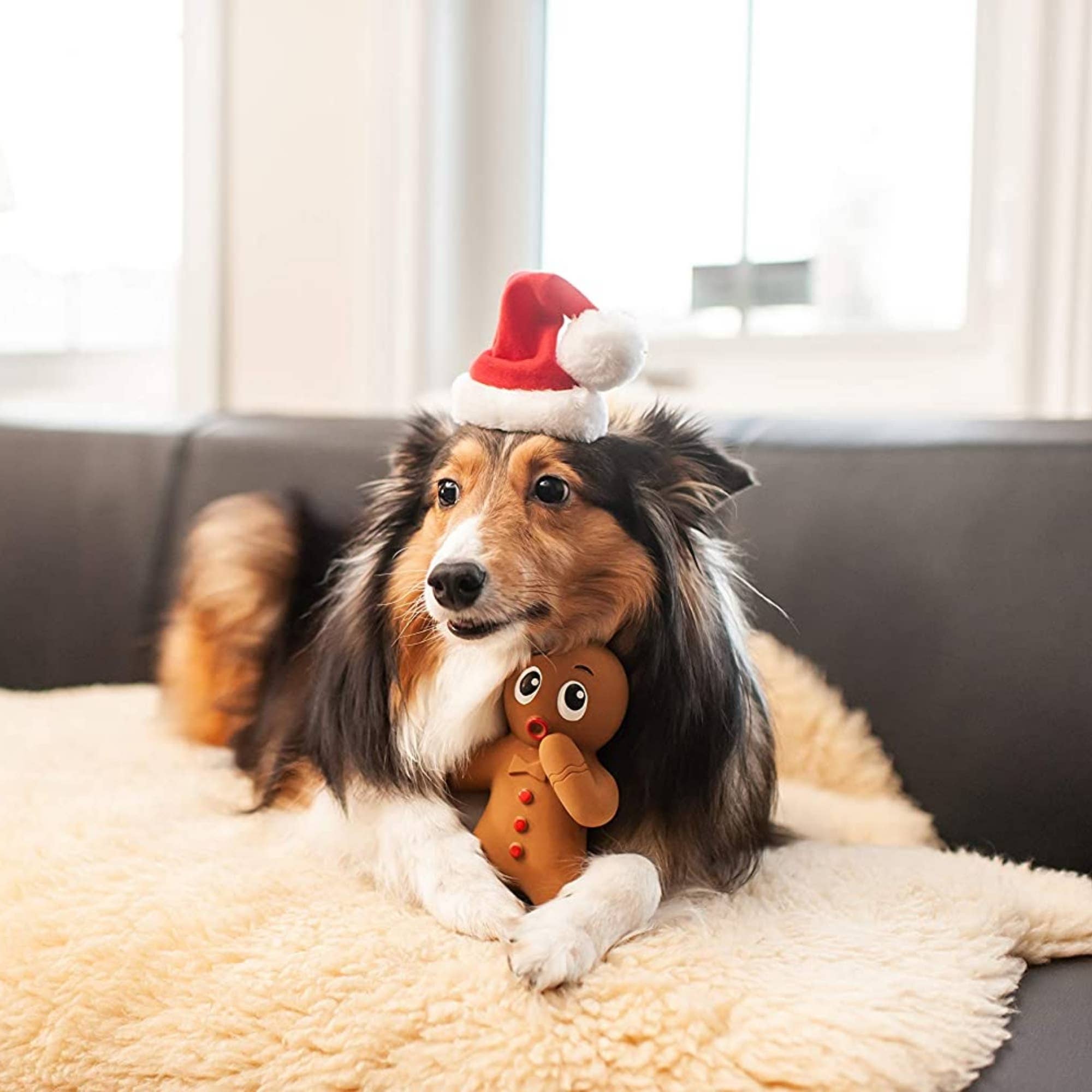 Midlee Designs - Wholesale Pet Hat - Dog - Midlee Merry Christmas Jingle Bell Dog Santa Hat2