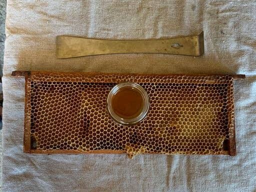 Bees & Co – wholesale Honey – British Summer Blossom Honey - Great Taste Award Winning3