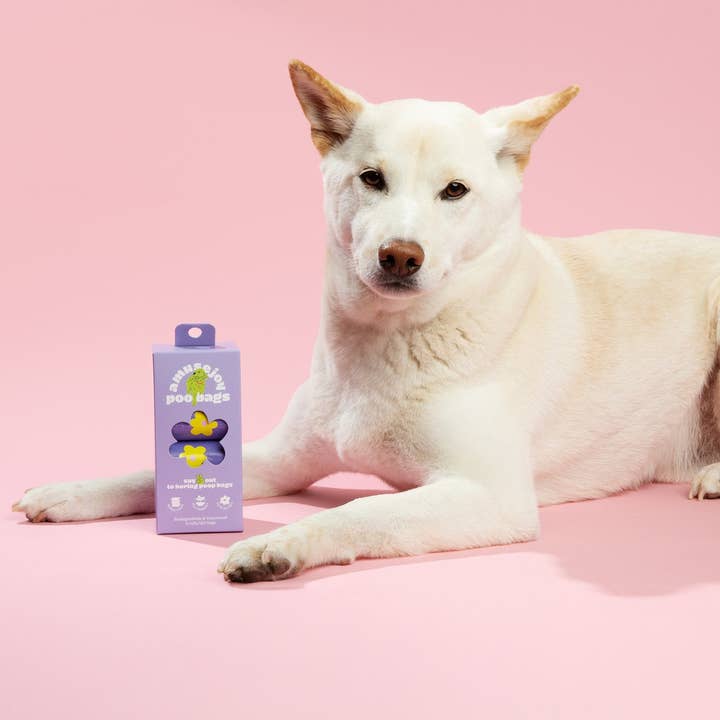 Amusejoy Poo Bags – saco de cocó de cão por atacado – Sacos para Dejetos de Cão Divertidos e Coloridos | 8 Rolos (120 sacos)7