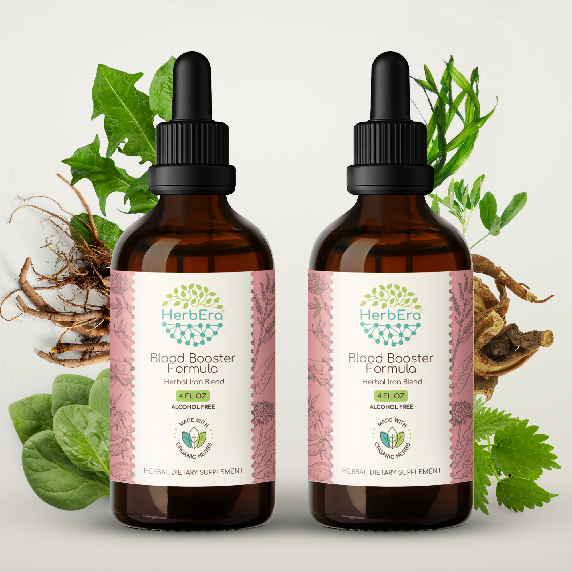 HerbEra - Venta al por mayor Tinturas - Tintura de Fórmula Potenciadora de Sangre10