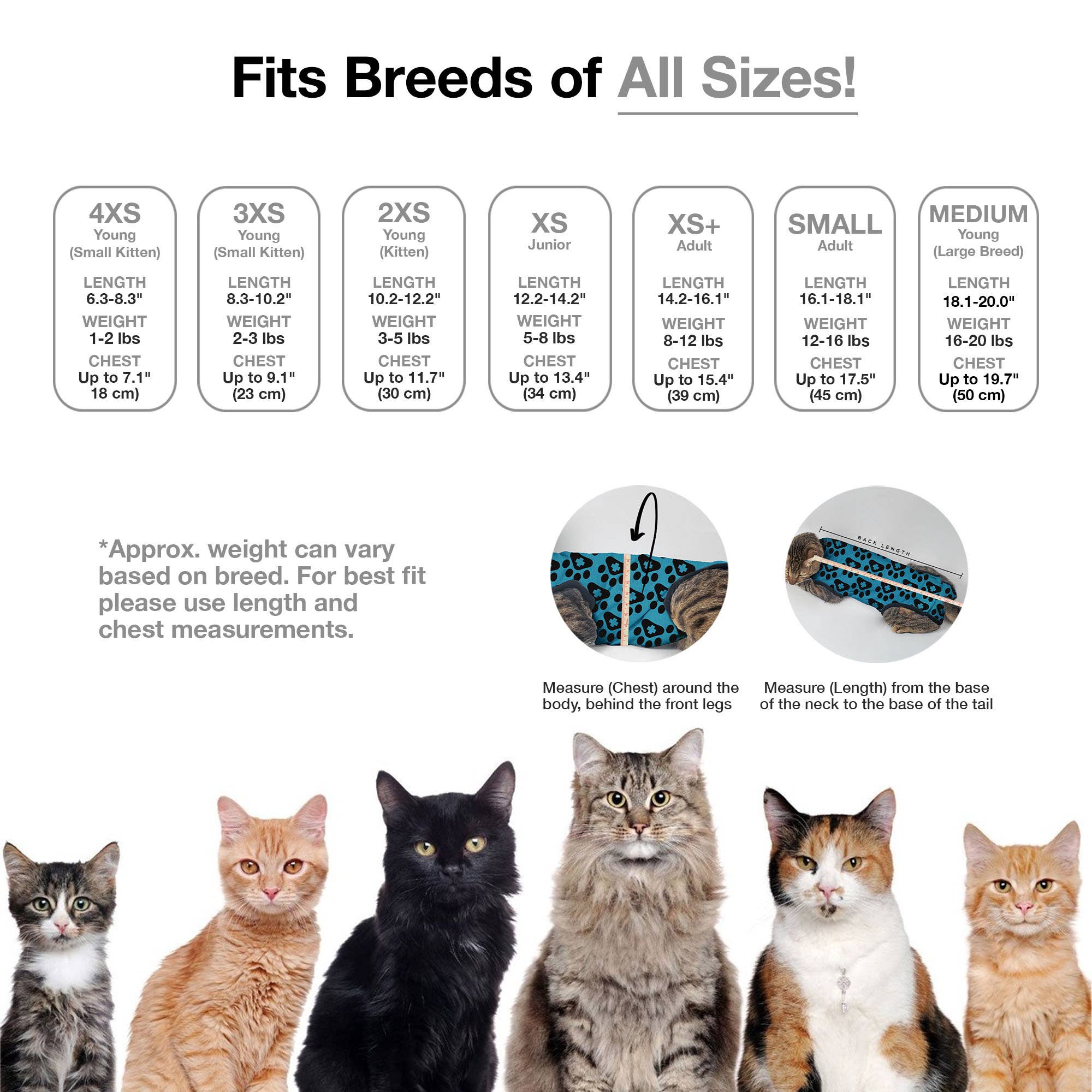 Gris Combinaison de récupération pour chat BellyGuard - Poisson gris en vente sur Faire2