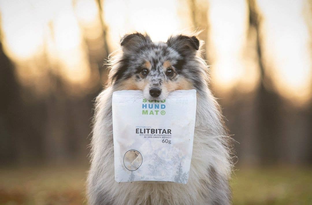Sund Hundmat - Wholesale Pet Treats - Dog - Freeze-dried Elite pieces 60g4