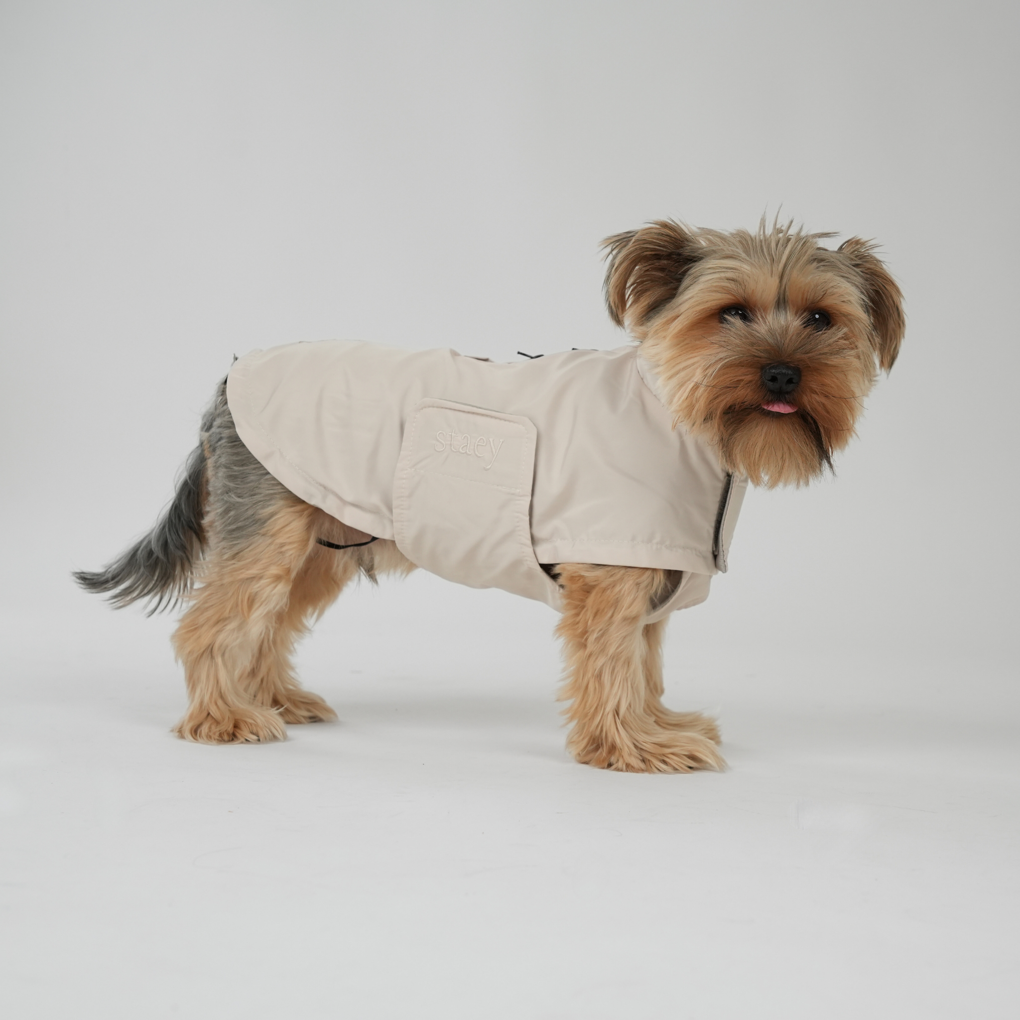 Staey - Wholesale Pet Jacket - Dog - Dog Raincoat Vega | Nature (discontinued)7