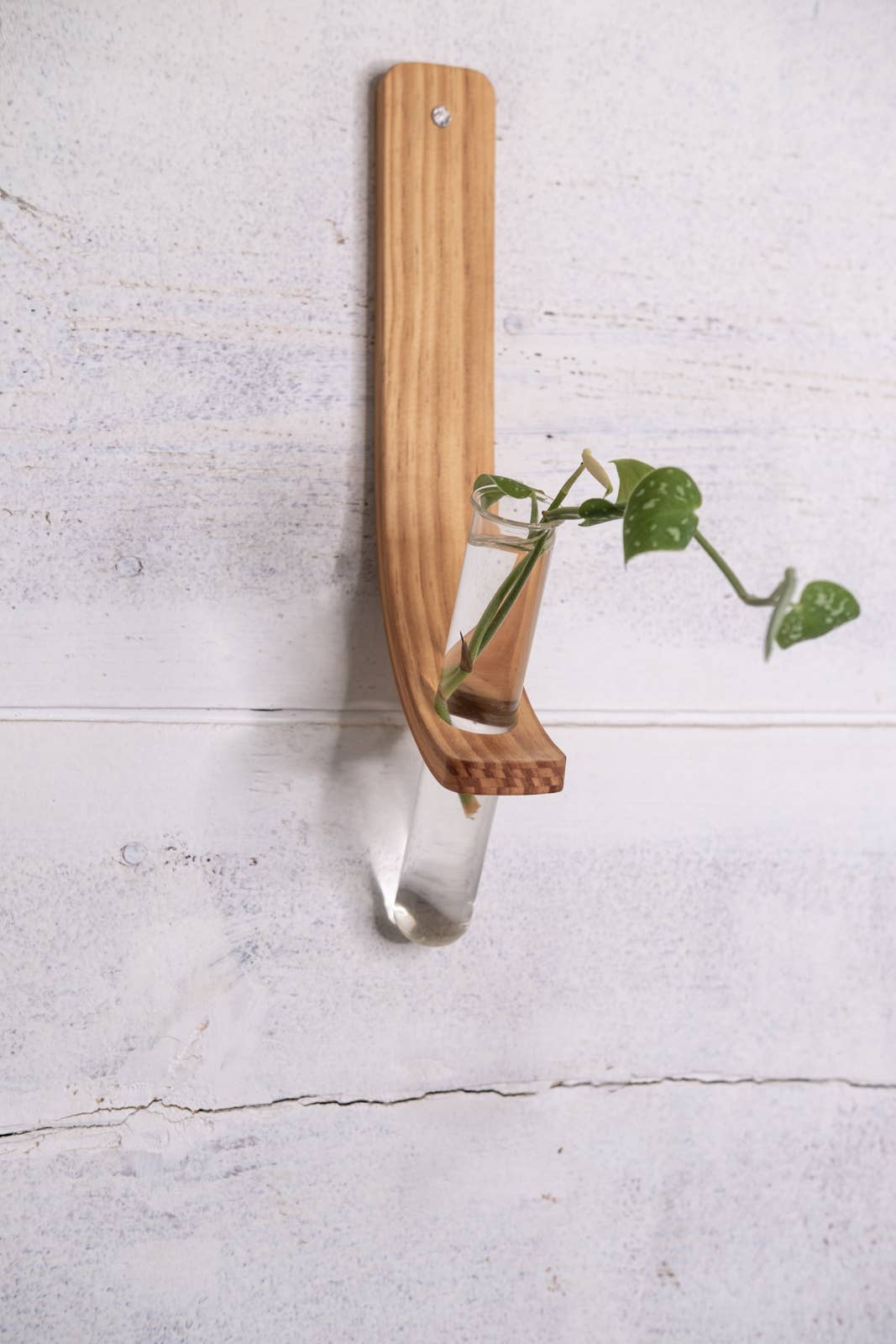 Horsemen Co. - Wholesale Wall Planter - Single Propagation Station with Tube4
