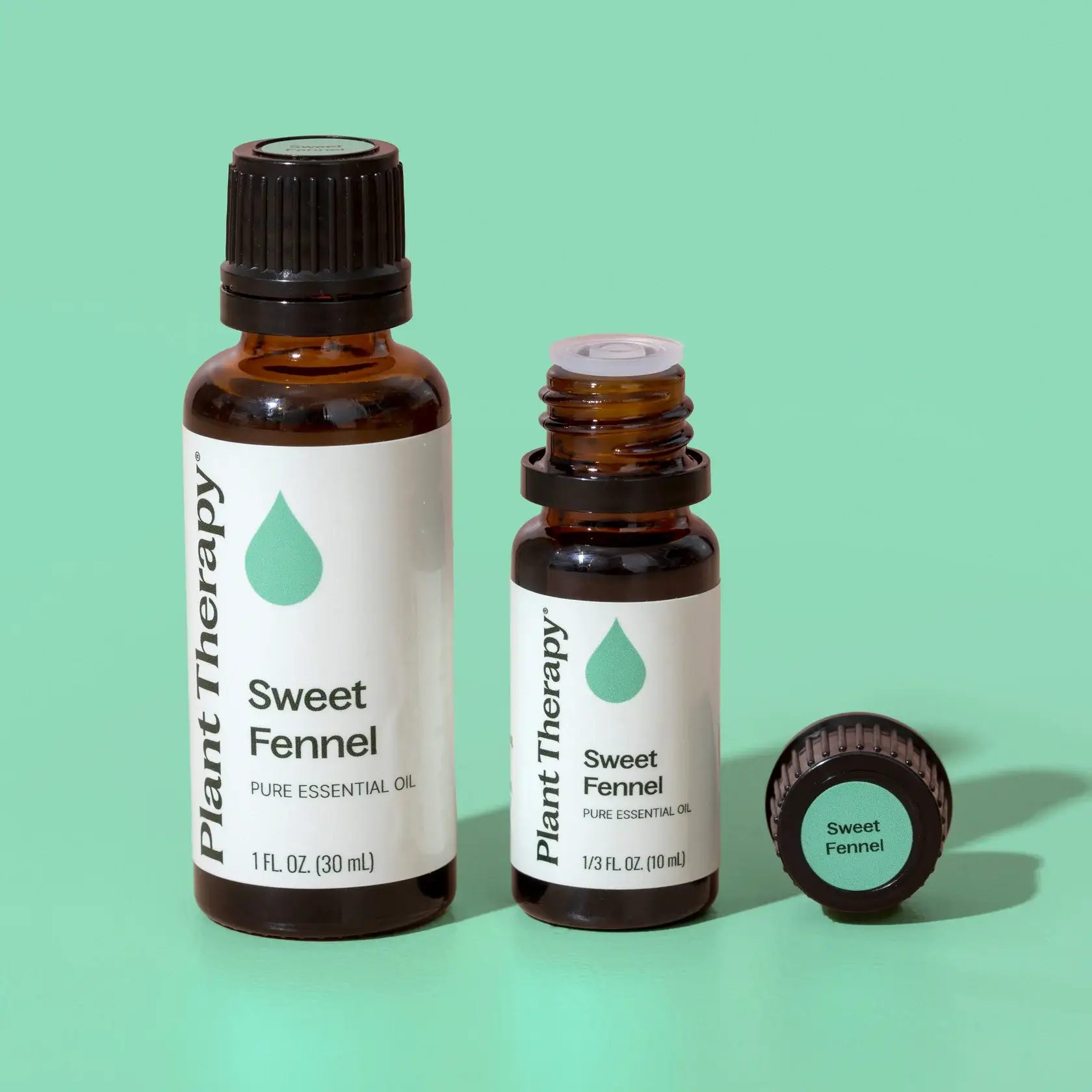 Plant Therapy - Wholesale Essential Oil - Sweet Fennel Essential Oil 10 mL3