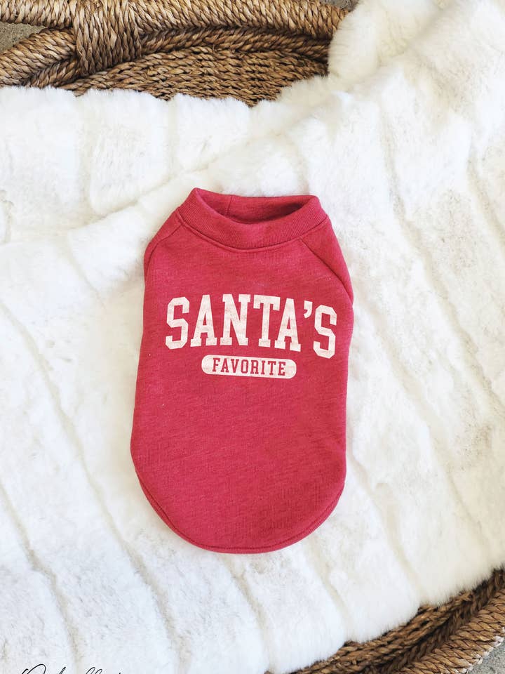 SANTA'S FAVORITE Pet Graphic Sweatshirt for wholesale by OAT COLLECTIVE