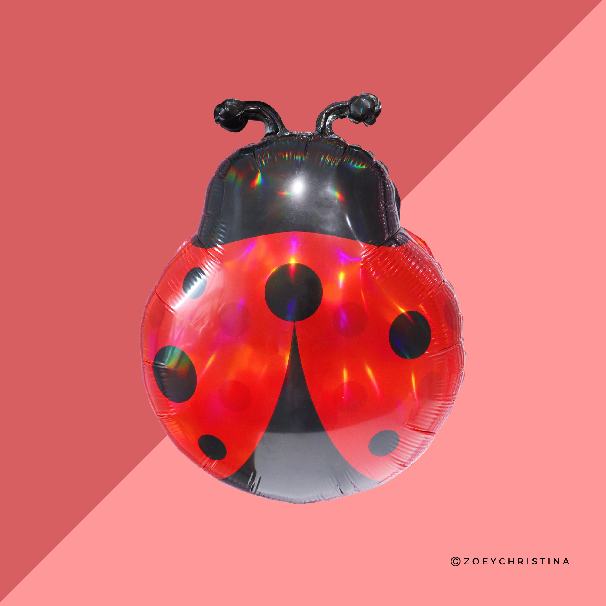Zoey Christina - Wholesale Balloon - Ladybug Foil Balloon – Garden, Bug & Spring-Themed Party 1