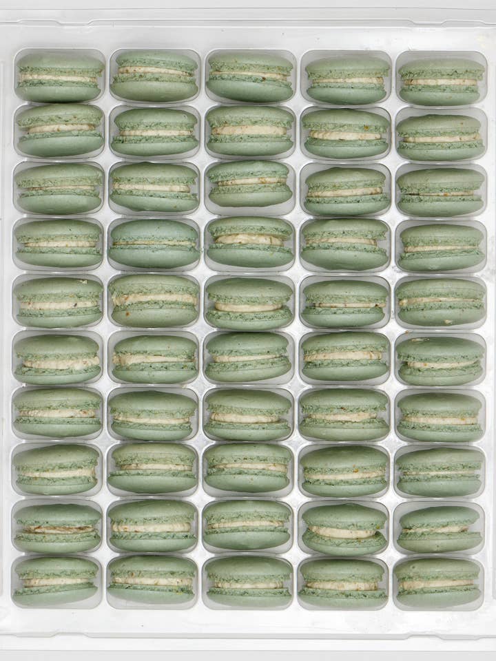 Vegan Macaron 50 pack case for wholesale by Verón
