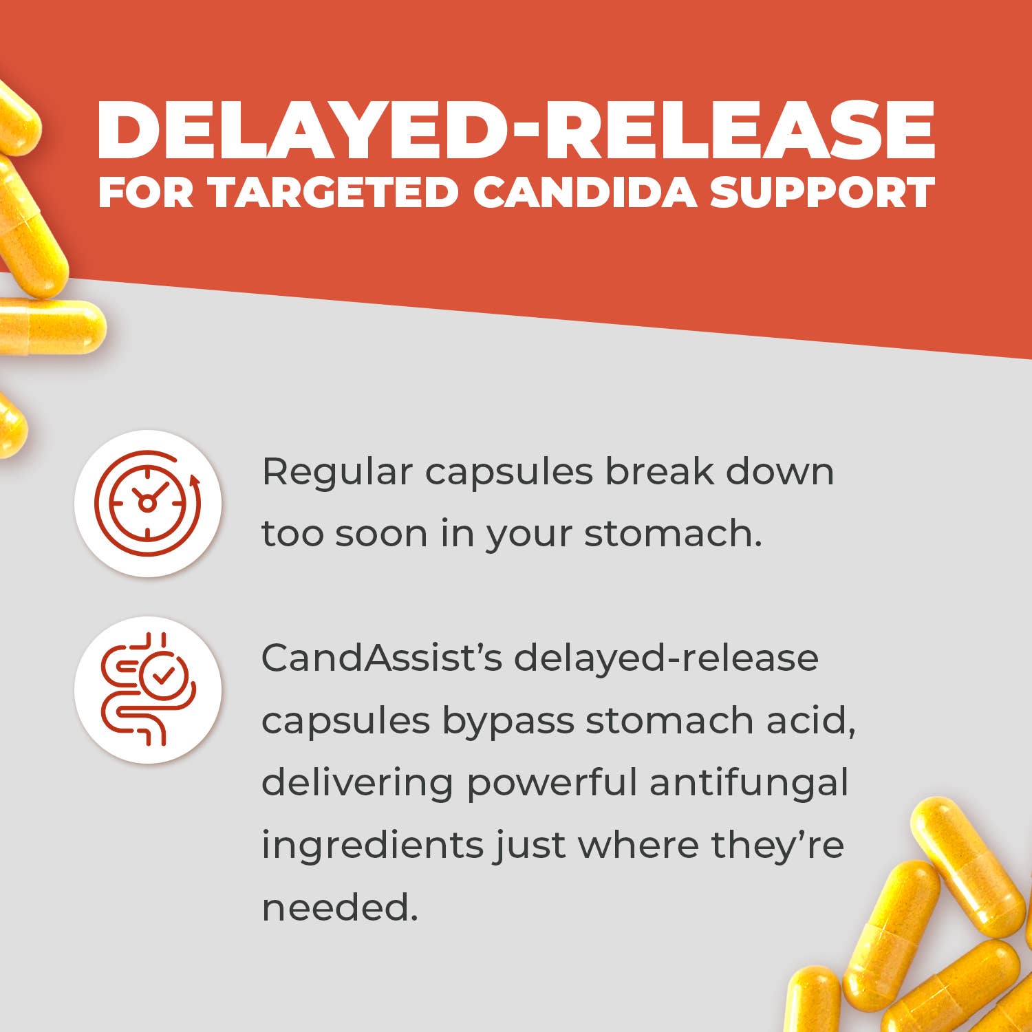 Balance One Supplements - Wholesale Oral Supplement/Vitamin - CandAssist – Natural Support for Candida Overgrowth2