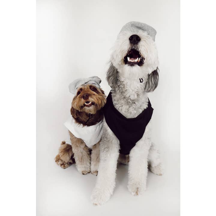 Midlee Designs - Wholesale Pet Costume - Dog - Midlee Salt & Pepper Dog Costume
