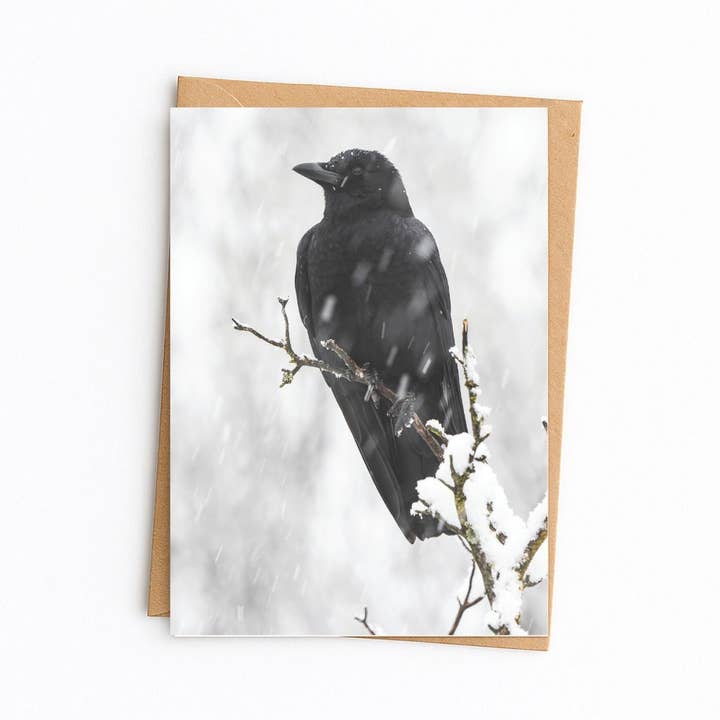 Crow in the Snow Holiday winter scene bird note card. for wholesale by Elster Photography/Big Picture Greetings