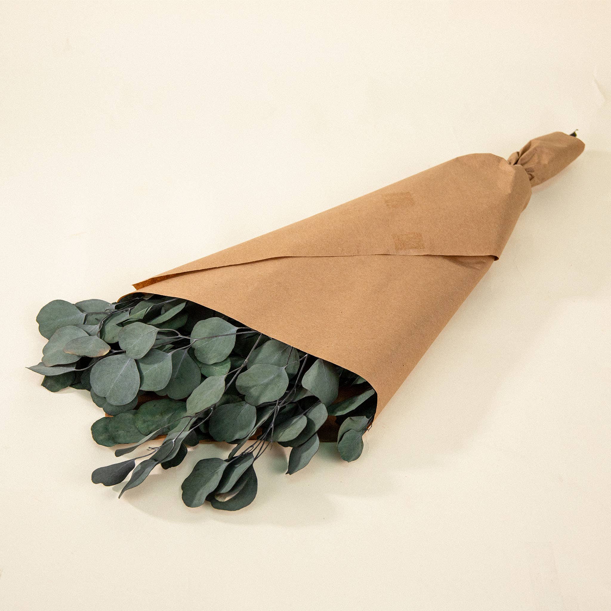 Sola Wood Flowers - Wholesale Dried/Pressed Flowers - Preserved Greenery Bouquets Silver Dollar Eucalyptus Green0