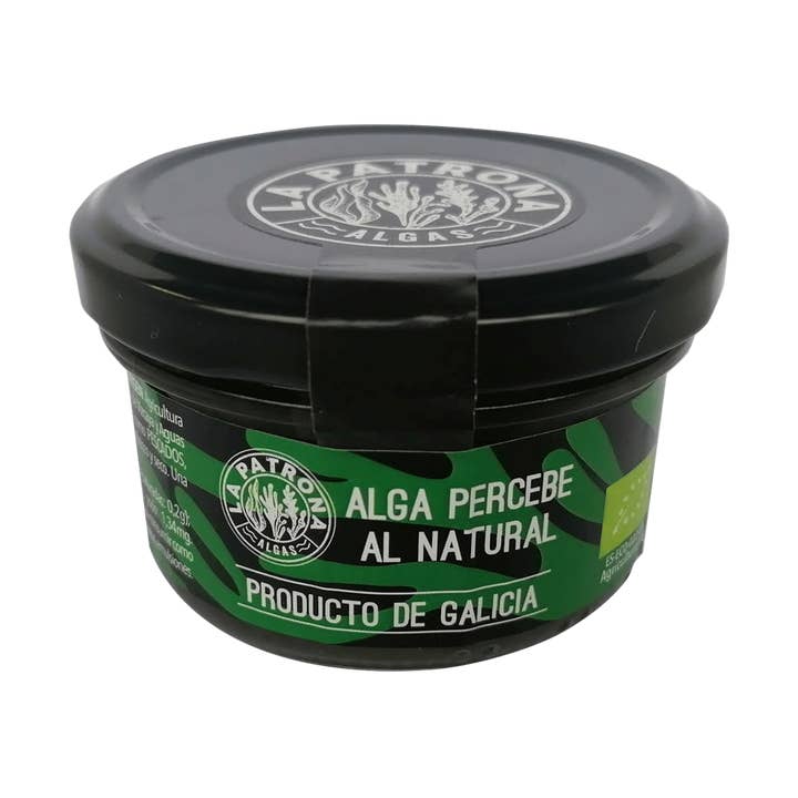 Naturlig Percebe Tang for engroshandel hos ALGAS LA PATRONA