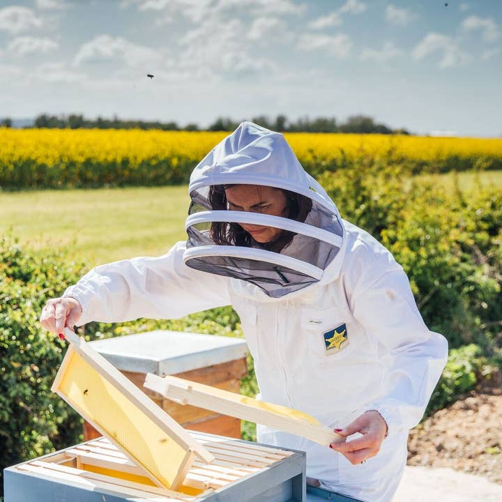 Broighter Gold Rapeseed Oil – Óleo de cozinha por atacado – Óleo de Colza Infundido com Fumo de Nogueira Broighter Gold - Caixa de 97