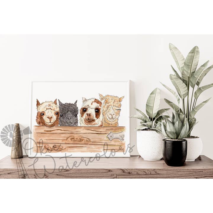 Alpacas Looking Over Barn Door, 8"X10" Watercolor Alpaca Art Print, Adorable Colorful Alpacas for wholesale by Okie Watercolors