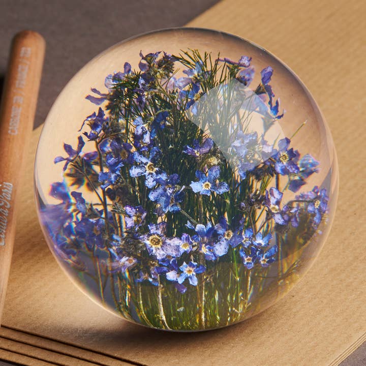 Hafod Grange Ltd - Vendita all'ingrosso Decorazione - Fermacarte Fiore Non Ti Scordar di Me