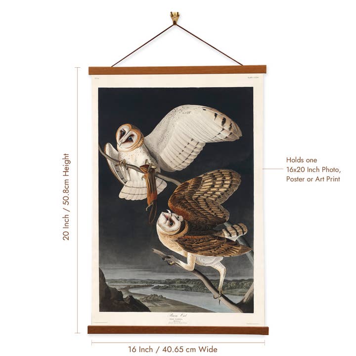 Vintage Banners - Wholesale Art Print - Barn Owl - John James Audubon - Framed Wall Art