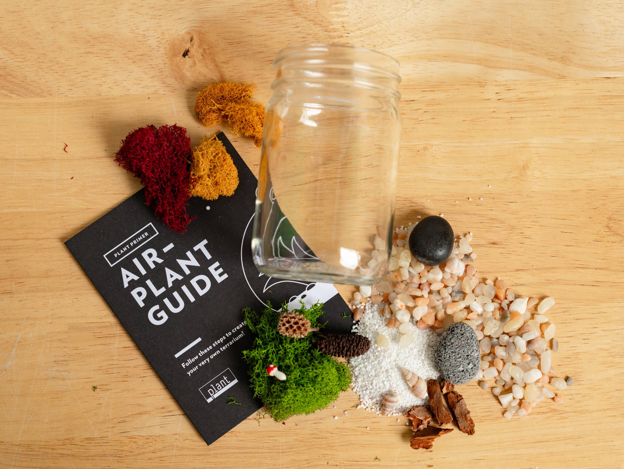 Plant Shop – wholesale DIY craft kit – New* Airplant Terrarium Kit : Jar3
