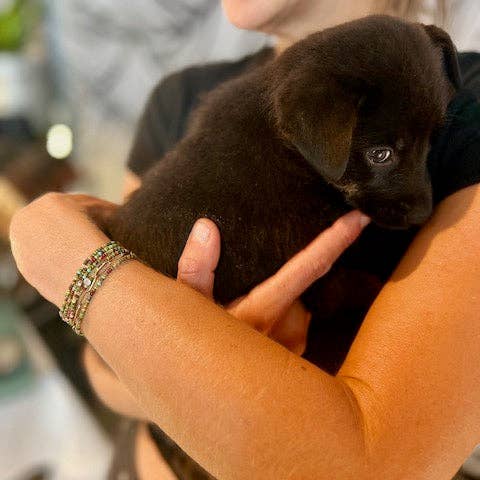 Lady Bird Market – wholesale Pärlarmband – Gröna Bruna & Guld 5-Varv Frö Pärla Omslag Stapel Armband1