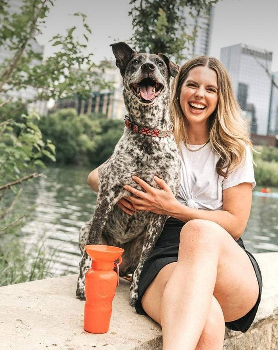 My Pawchella – wholesale Pet water bottle – Dog – Springer Water Bottle14