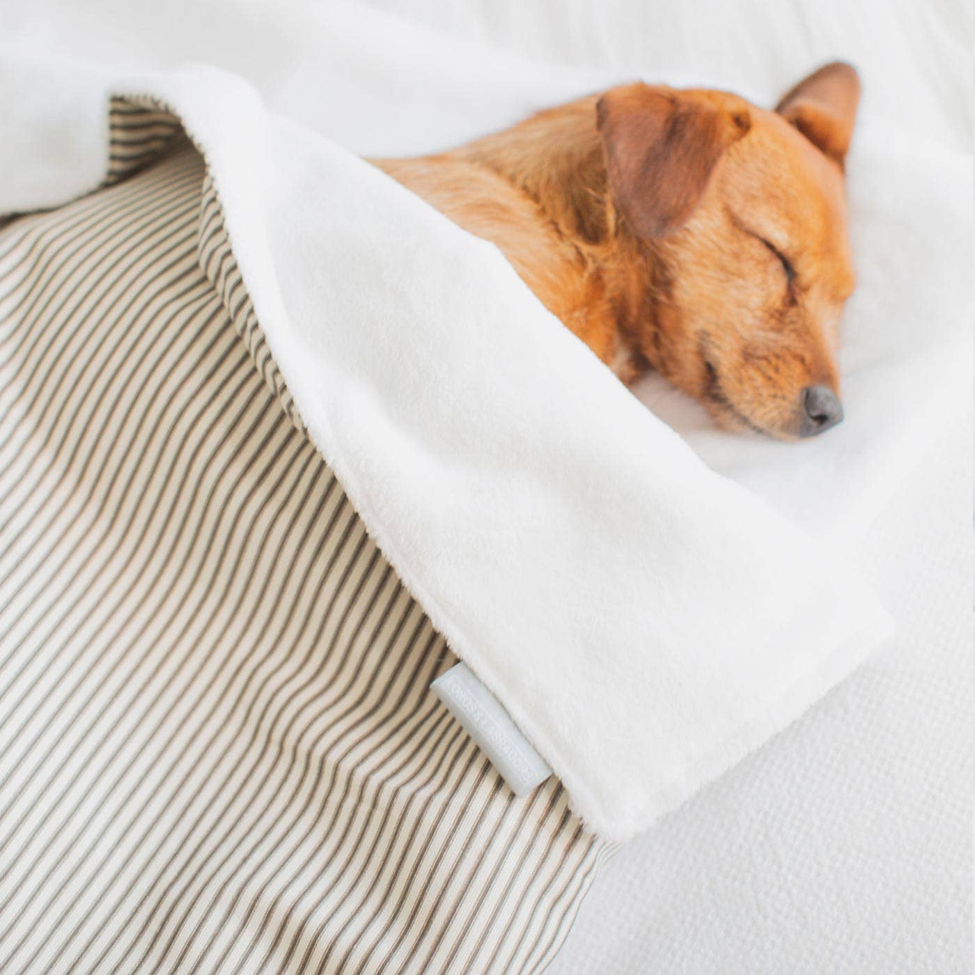 Lords and Labradors - Vente Couverture – chien - Couverture pour chien et chiot à pois et rayures14