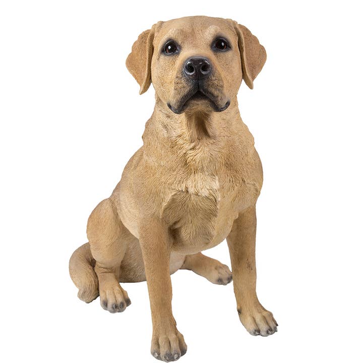 Pacific Trading – Estatueta decorativa por atacado – 12478 Cão Labrador tamanho real