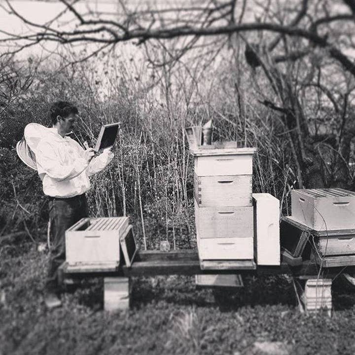 Messner Bee Farm - Wholesale Travel candles - Honeysuckle Vanilla Bean 4oz. Candle - Paraffin free!5