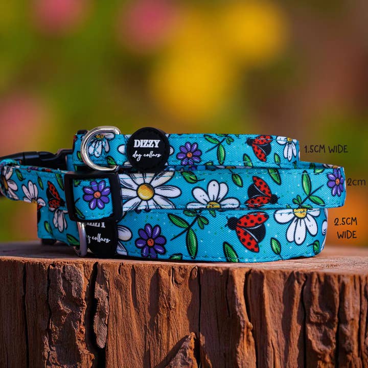 Dizzy Dog Collars - Wholesale Pet collar – Dog - Ladybird Lane Dog Collar | Canvas & Neoprene Dog Collar2