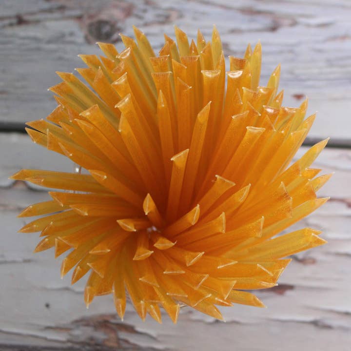 25 Clover Honey Sticks - Natural Pure Raw Honey Stick Snacks for wholesale by Happy Honey Bee Co.