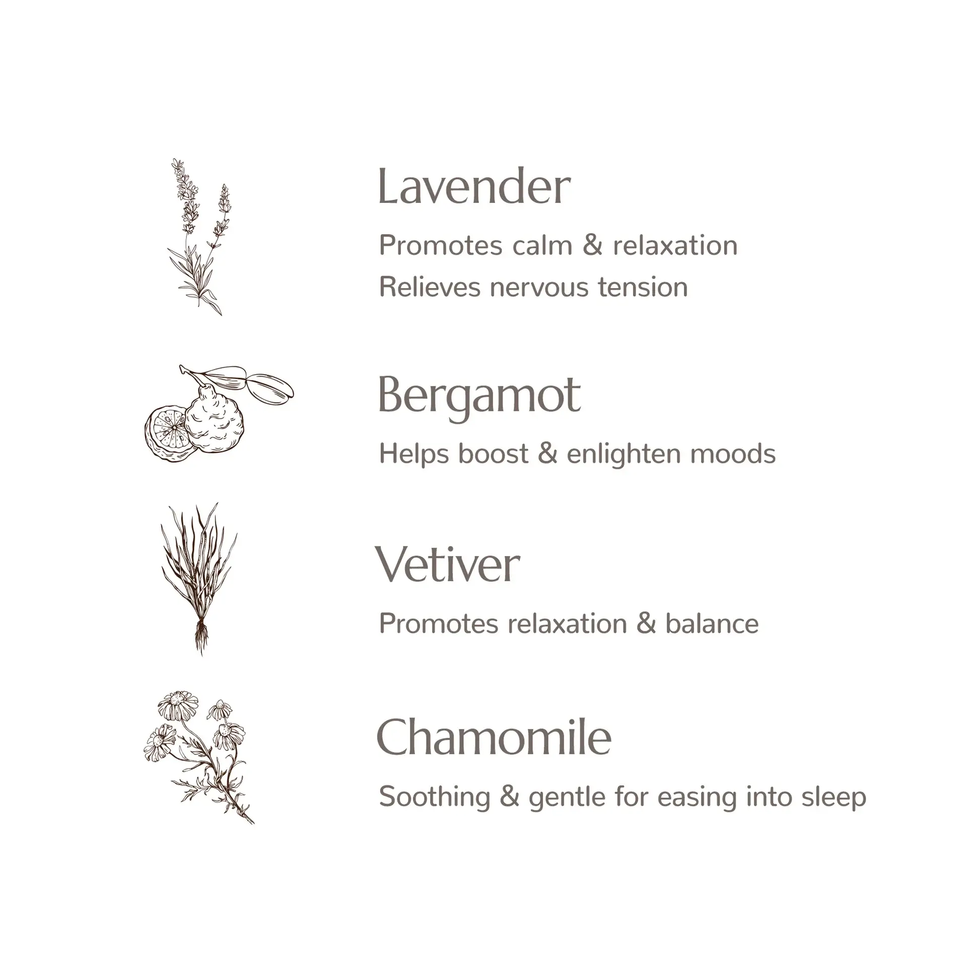 Plant Therapy - Vendita all'ingrosso Spray per tessuti e ambienti - Spray per cuscino Blissful Dreams™ alla lavanda 237 ml7