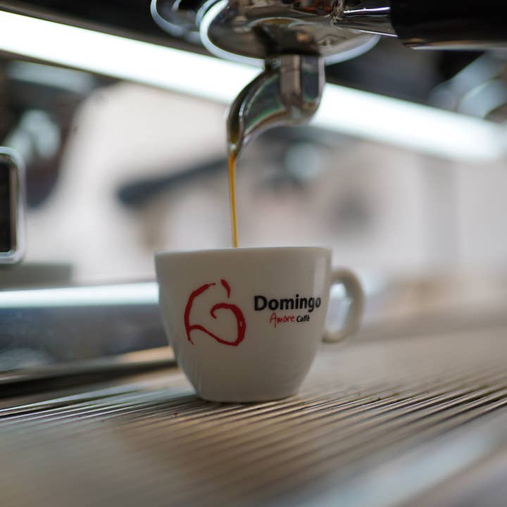 Domingo Caffè - Vendita all'ingrosso Caffè in grani - Tosca Espresso Italiano (Scatola contenente 6 Kg)5