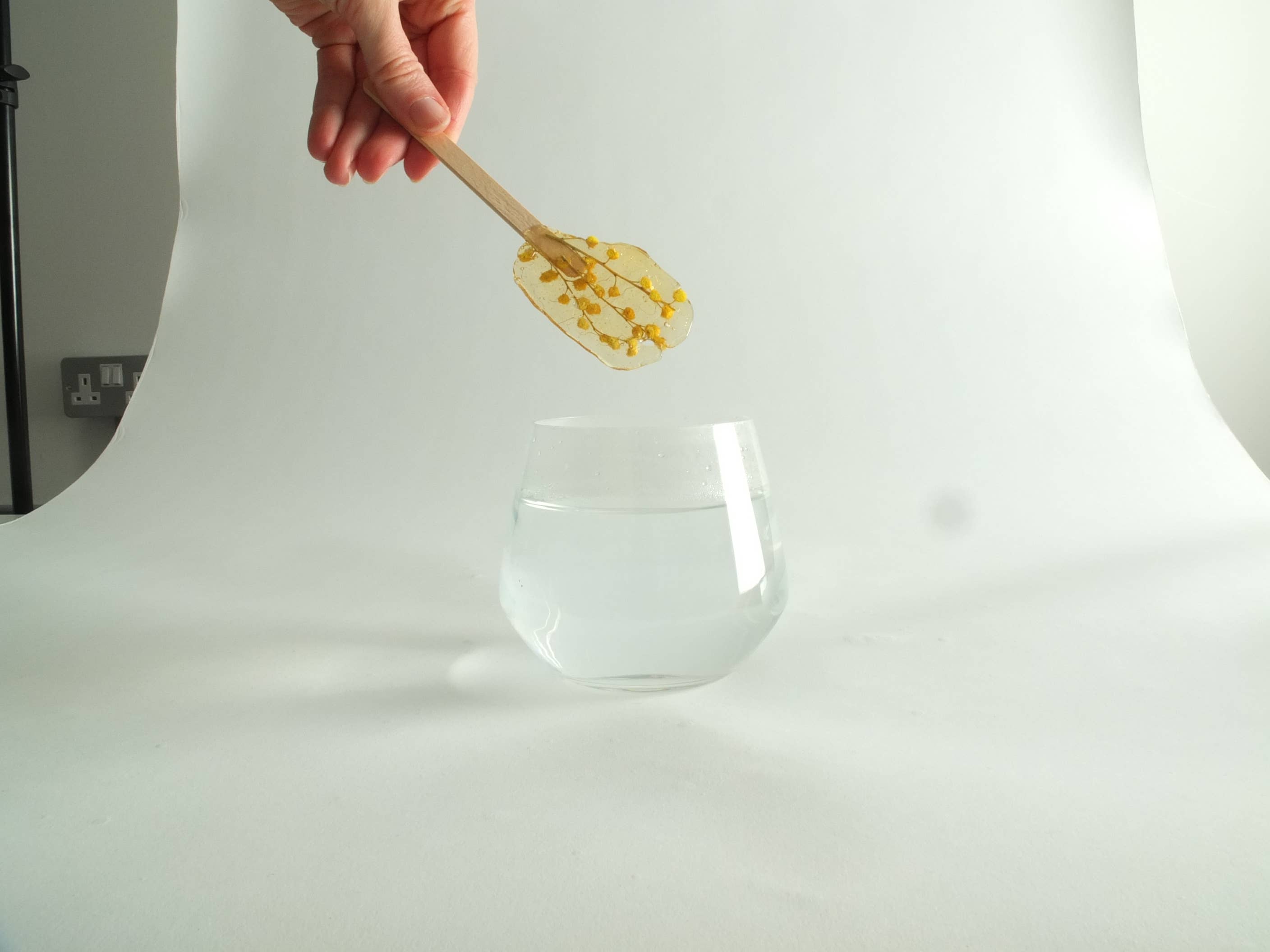 Fleurs d'hiver - Wholesale Loose Tea - Infusion lolly - Mimosa2