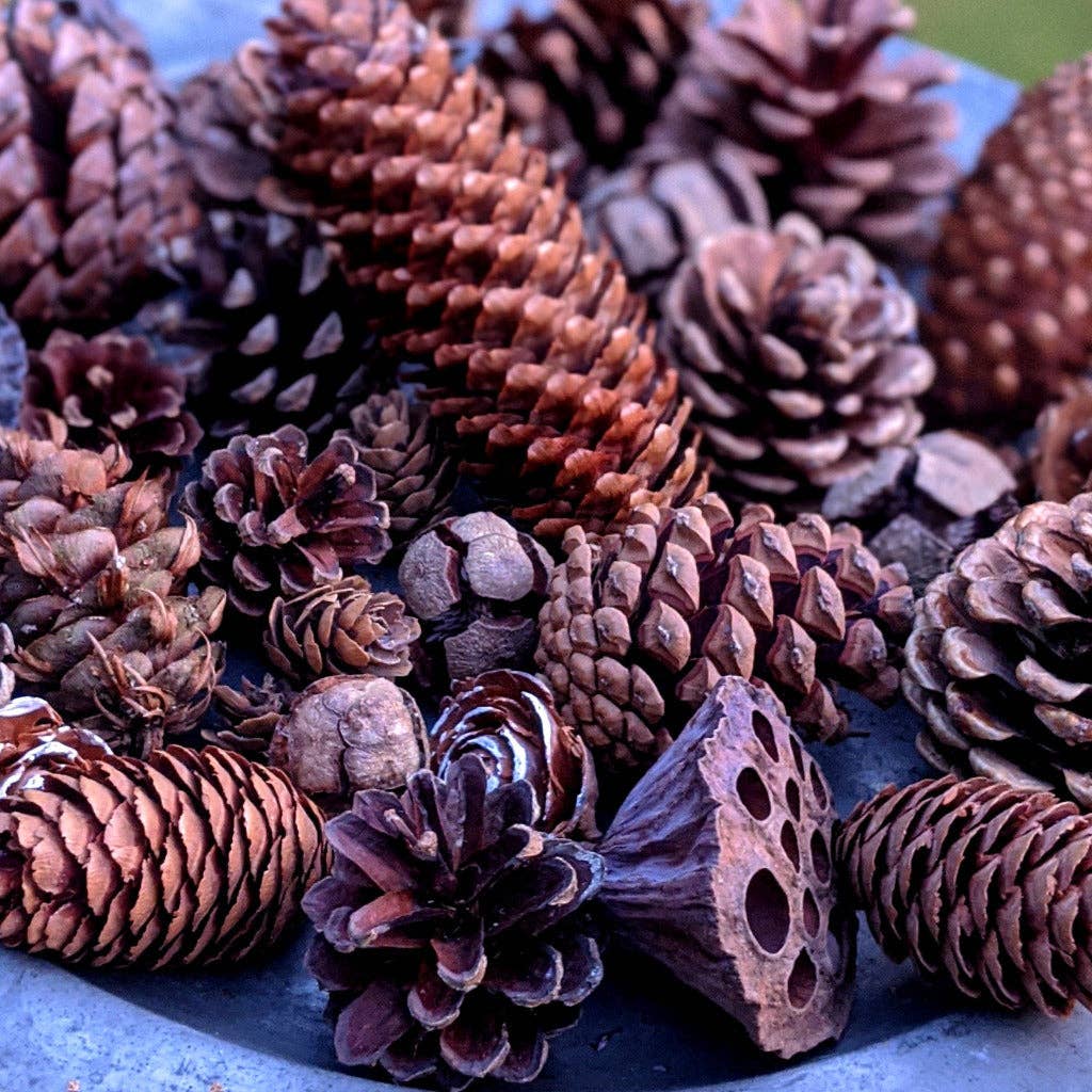 The Danes – wholesale Christmas decoration – Natural Mixed Pine Cones - Assorted3