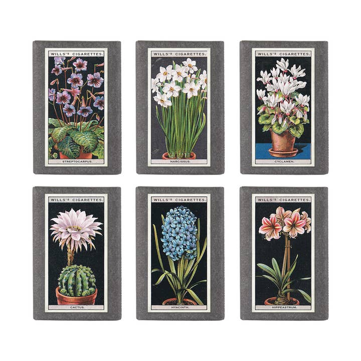 RETRO SOAPS - Pot Plants (95g Olive Soaps) Set of 6 for wholesale by Sting in the Tail Ltd