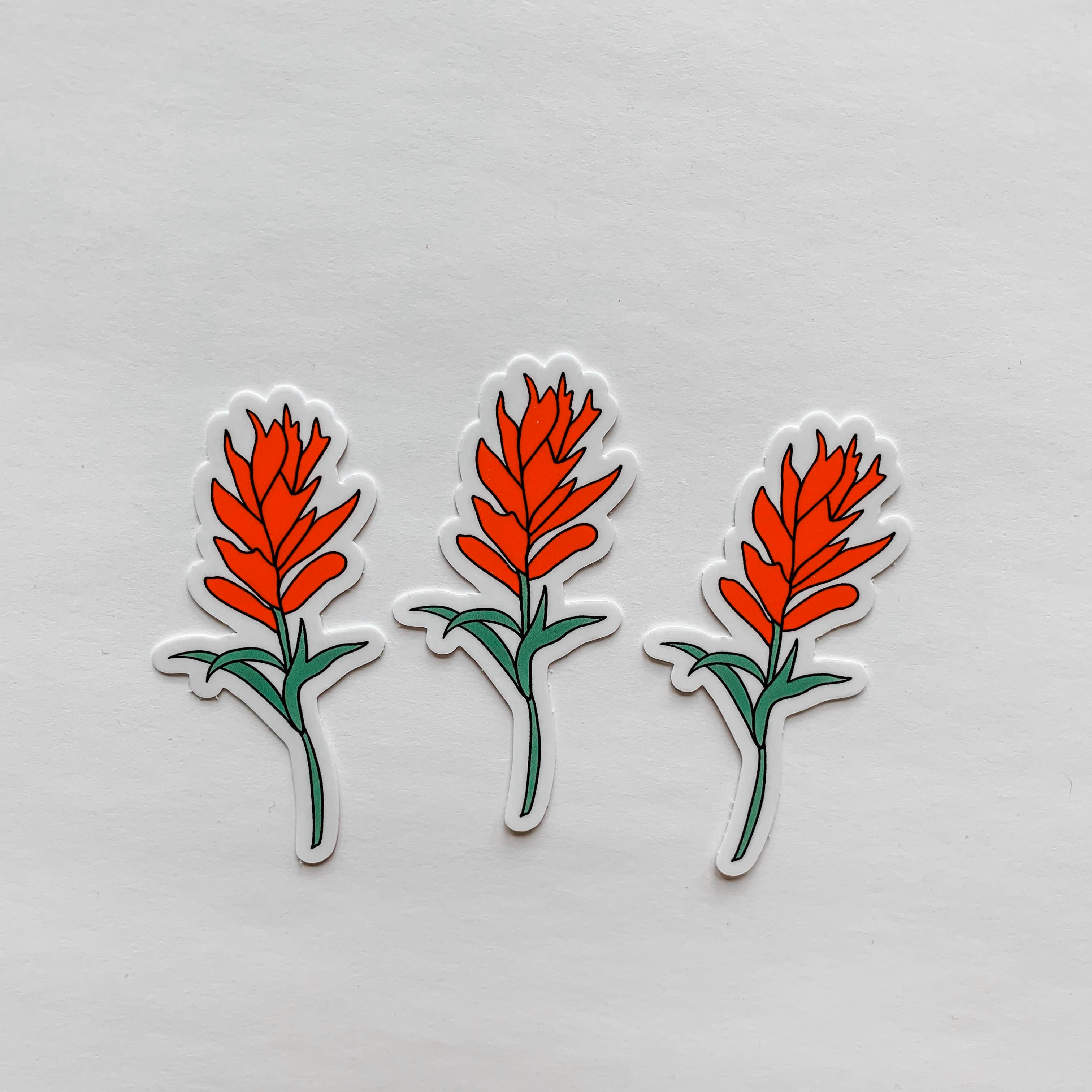 Wildflower Paper Company - Wholesale Sticker - Indian Paintbrush Flower Wildflower Sticker5