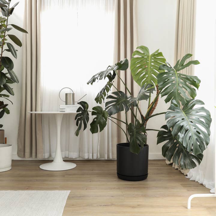 Kanso Designs - Wholesale Plant Pot - 16" | 13" | 12" Black Signature Stone Planter & Saucer