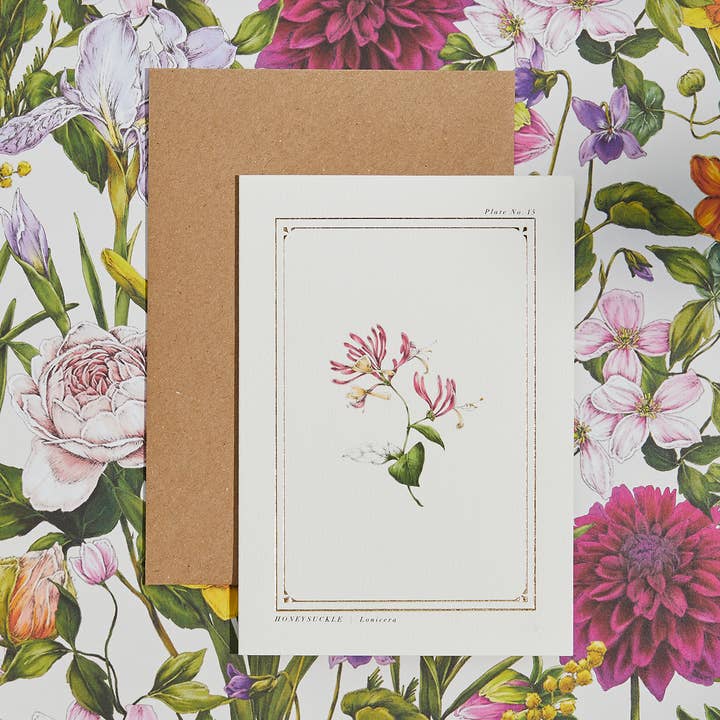 Honeysuckle - 'Botanist Archive:Everyday Edition' - Kort for engroshandel hos Catherine Lewis Design